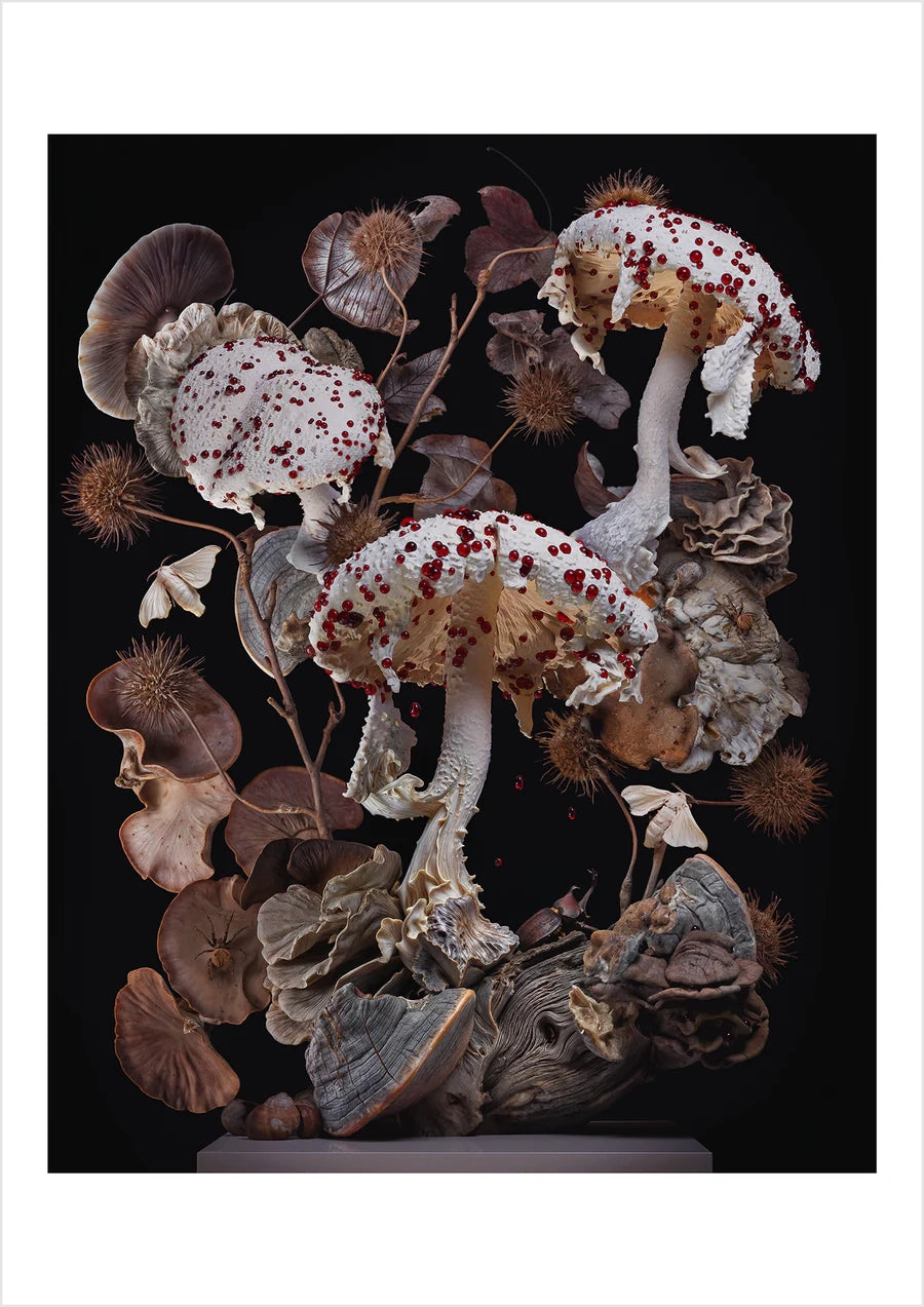 A3 Poster — Still Life 07