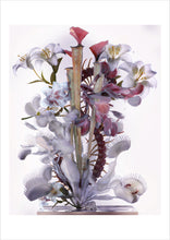 Load image into Gallery viewer, A3 Poster — Still Life 03
